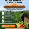 Polsek Grabagan Polresta Tuban Turun Langsung Cek Tanaman Jagung Warga