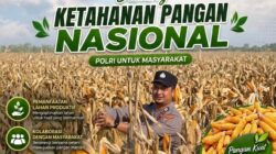 POLSEK BANCAR WUJUDKAN KETAHANAN PANGAN NASIONAL MELALUI SINERGI DENGAN PETANI JAGUNG DESA NGAMPELREJO