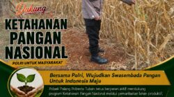 Dukung Astacita, Polsek Palang Polresta Tuban Pantau Langsung Lahan Jagung milik warga Desa Tasikmadu