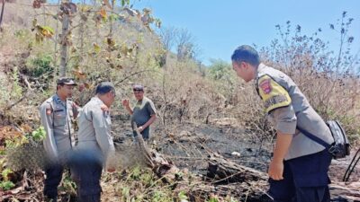 Sigap Tangani Karhutla di Labuhan Alas, Personel Polsek Alas Bersama Damkar dan Warga Padamkan Lahan Kosong