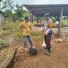 Apresiasi Warga Produktif, Bhabinkamtibmas Desa Labangka Cek Pekarangan Pangan Lestari Warga