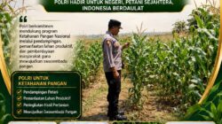“DUKUNG KETAHANAN PANGAN, POLSEK KEREK PEMANTAUAN TANAMAN JAGUNG DI DESA BINAAN”