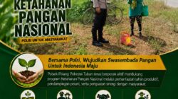 Dukung Astacita, Polsek Palang Polresta Tuban Pantau Langsung Lahan Jagung milik warga Desa Wangun