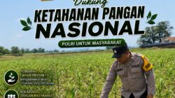 Polsek Jatirogo Turun ke Lahan produktif Desa Demit Wujudkan Dukungan Astacita Swasembada Pangan