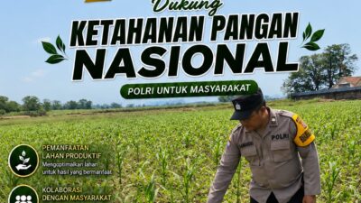 Polsek Jatirogo Turun ke Lahan produktif Desa Demit Wujudkan Dukungan Astacita Swasembada Pangan