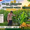 Anggota Polsek Singgahan Polresta Tuban Turun Cek Tanaman jagung Warga di Desa Lajo loratis
