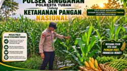 Anggota Polsek Singgahan Polresta Tuban Turun Cek Tanaman jagung Warga di Desa Lajo loratis