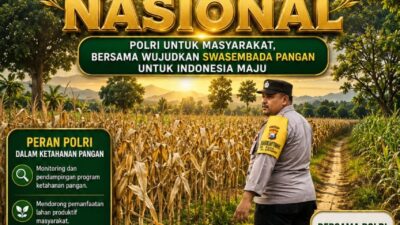Polsek Plumpang Polresta Tuban Turun Langsung Cek Tanaman Jagung Warga