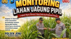Anggota Bhabinkamtibmas Polsek Senori Polresta Tuban Monitoring Tanaman Jagung Milik Warga Desa Jatisari Dukung Program Ketahanan Pangan
