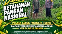 “Bhabinkamtibmas Desa Sidonganti Pantau Pertumbuhan Tanaman Jagung Warga Desa Binaan”