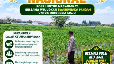 Polri Dukung Astacita, Polsek Semanding Polresta Tuban Turun Cek Tanaman jagung milik Warga di Desa Tegalagung