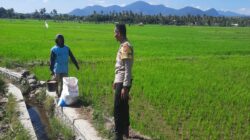 Dukung Ketahanan Pangan Nasional, Bhabinkamtibmas Polsek Utan Sambangi Petani di Desa Motong