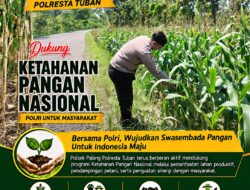 Dukung Astacita, Polsek Palang Polresta Tuban Pantau Langsung Lahan Jagung milik warga Desa Wangun