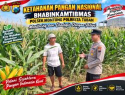Polsek Montong Polresta Tuban Turun Cek Tanaman jagung Warga di Desa Pucangan