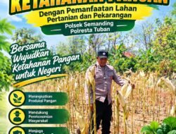Polri Dukung Astacita, Polsek Semanding Polresta Tuban Turun Cek Tanaman jagung milik Warga di Desa Tegalagung