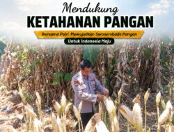 Polsek Tuban Pantau Tanaman Jagung Menjelang Panen, Dukung Ketahanan Pangan Nasional