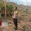 Bhabinkamtibmas Desa Rababaka Sambangi Petani Bawang, Ingatkan Pentingnya Perawatan Tanaman untuk Cegah Gagal Panen