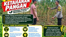 Dukung Astacita, Polsek Palang Polresta Tuban Pantau Langsung Lahan Jagung milik warga Desa Dawung