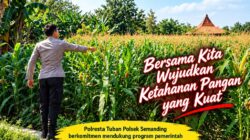 Polri Dukung Astacita, Polsek Semanding Polresta Tuban Turun Cek Tanaman jagung milik Warga di Desa Jadi