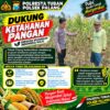 Dukung Astacita, Polsek Palang Polresta Tuban Pantau Langsung Lahan Jagung milik warga Desa Dawung