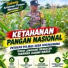 Dukung Ketahanan Pangan Nasional, Petugas Polmas Polsek Kenduruan Polresta Tuban Cek Perkembangan Tanaman Jagung Warga
