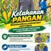 Mendukung Program Ketahanan Pangan, Bhabinkamtibmas Monitoring Pertumbuhan Jagung