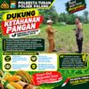 Dukung Astacita, Polsek Palang Polresta Tuban Pantau Langsung Lahan Jagung milik warga Desa Glodog