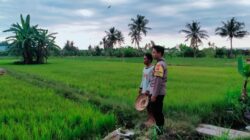 Dukung Ketahanan Pangan Nasional, Bhabinkamtibmas Desa Lekong Sambangi Petani dan Dorong Pemanfaatan Lahan Produktif