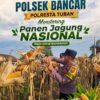 KoDukung Ketahanan Pangan Nasional, Bripda Dodi Eko Lakukan Pendampingan Panen Jagung Warga di Desa Sukoharjo