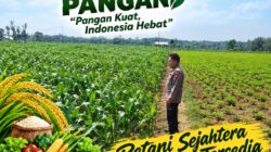 Polri Dukung Astacita, Polsek Merakurak Polres Tuban Turun Cek Tanaman Jagung Warga di Desa Tuwiri Wetan