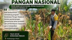 Polri Dukung Astacita, Polsek Rengel Polresta Tuban Turun Cek Tanaman Jagung Warga di Desa Rengel