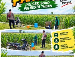 Polsek Soko Polresta Tuban Turun Langsung Cek Tanaman Jagung Warga