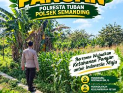 Polri Dukung Astacita, Polsek Semanding Polresta Tuban Turun Cek Tanaman jagung milik Warga di Desa Prunggahan Wetan