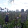 Bhabinkamtibmas Desa Kesik Cek Lahan Ketahanan Pangan Bergizi, Dukung Kemandirian Pangan Warga