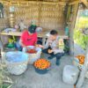 Bhabinkamtibmas Desa Bagik Papan Sambangi Petani, Cek Panen Tomat, dan Berikan Imbauan Kamtibmas