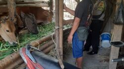 Jalin Silaturahmi dengan Warga, Aipda Abdul Ghani Sampaikan Imbauan Kamtibmas di Desa Timbanuh