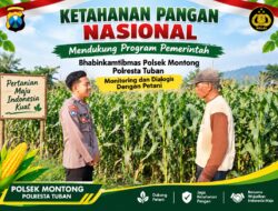 Mendukung Asta Cita Presiden bhabinkamtibmas Polsek Montong Polresta Tuban Pantau Kodisi Tanaman Jagung Milik Warga Desa pakel