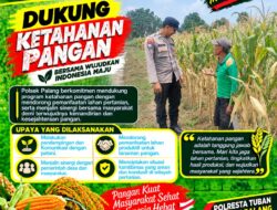 Dukung Astacita, Polsek Palang Polresta Tuban Pantau Langsung Lahan Jagung milik warga Desa Wangun