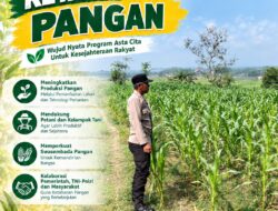 Dukung Program Ketahanan Pangan, Polsek Bangilan Monitoring Pertumbuhan Tanaman Jagung