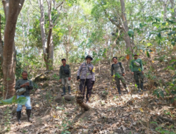 Antisipasi Kebakaran Hutan, Bhabinkamtibmas Polsek Batu Lanteh Bersama KSDA Gelar Apel dan Patroli Karhutla di Semongkat