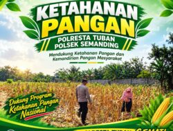 Polri Dukung Astacita, Polsek Semanding Polresta Tuban Turun Cek Tanaman jagung milik Warga di Desa Prunggahan kulon