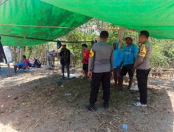 Polsek Alas Barat Amankan Tradisi “Garapan Kerbau” di Labuhan Mapin, Pastikan Kamtibmas Tetap Kondusif