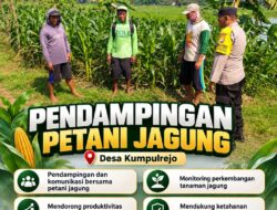 Polsek Parengan Polresta Tuban Pantau Lahan Jagung Warga Desa Kumpulrejo Dukung Program Astacita