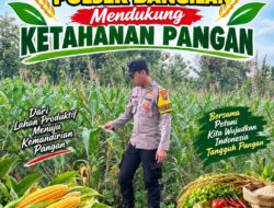 POLSEK BANGILAN DUKUNG KETAHANAN PANGAN