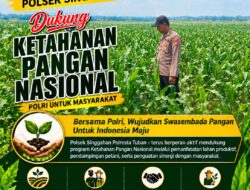 Polsek Parengan Polresta Tuban Pantau Lahan Jagung Warga Desa Selogabus Dukung Program Astacita