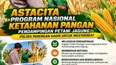 Polsek Parengan Polresta Tuban Pantau Lahan Jagung Warga Desa Ngawun Dukung Program Astacita