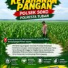 Polsek Soko Polresta Tuban Turun Langsung Cek Tanaman Jagung Warga