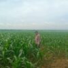 Anggota Polsek Singgahan Polresta Tuban Turun Cek Tanaman jagung Warga di Desa Lajo lor
