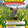 Mendukung Program Ketahanan Pangan, Bhabinkamtibmas Monitoring Pertumbuhan Jagung