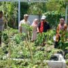 Dukung Ketahanan Pangan, Bhabinkamtibmas Desa Air Suning Dampingi Dinas Pertanian Prov. NTB Cek Kebun PKK